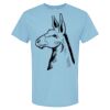 4800 - Best Value 100% Cotton T-Shirt Thumbnail