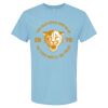 4800 - Best Value 100% Cotton T-Shirt Thumbnail