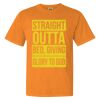 1717 - Comfort Colors Garment Dyed Heavyweight Short Sleeve Shirt Thumbnail